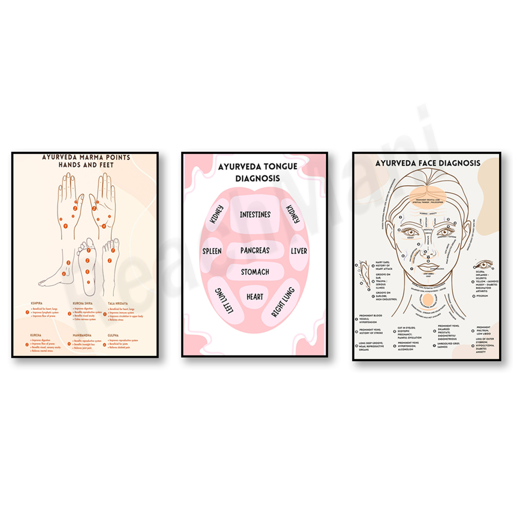 Ayurvedic energy chart, Ayurve - Ayurvedic & Herbal Wellness Kits recension och pris