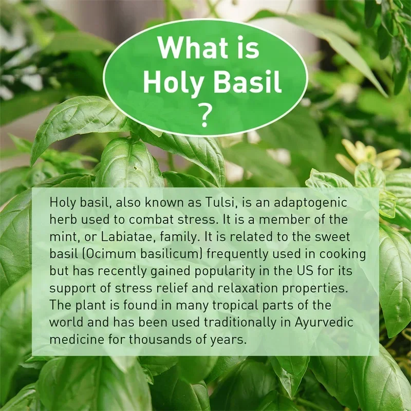 Holy Basil Capsules - Enhance  - Tulsi Holy Basil recension och pris